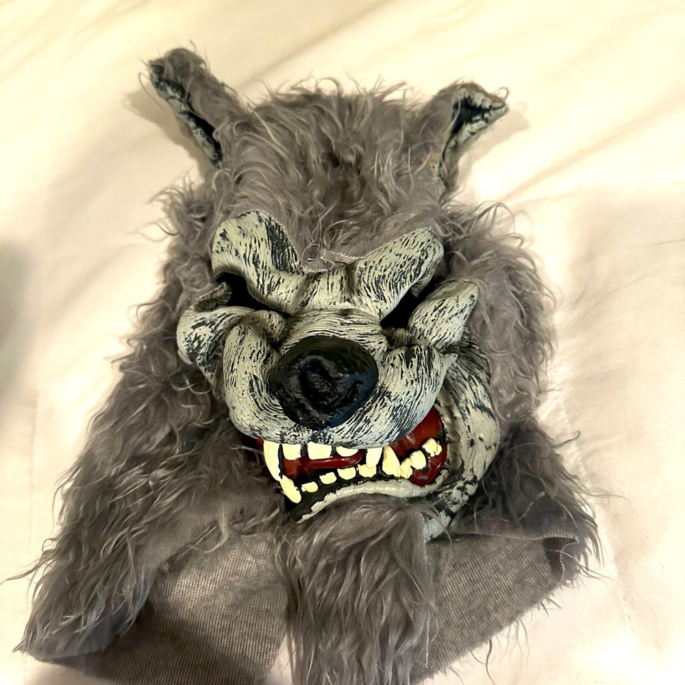 Werewolf Halloween costume.